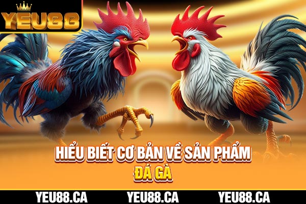 Hiểu biết cơ bản về sản phẩm đá gà Hiểu biết cơ bản về sản phẩm đá gà