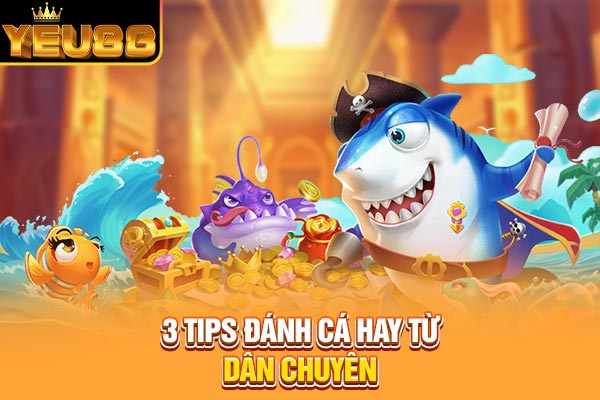 3 tips đánh cá hay từ dân chuyên