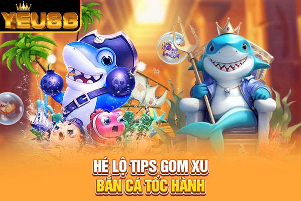 Hé lộ tips gom xu bắn cá tốc hành Hé lộ tips gom xu bắn cá tốc hành