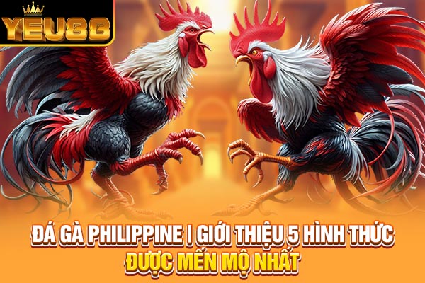 Đá Gà Philippines | Giới Thiệu 5 Hình Thức Được Mến Mộ Nhất