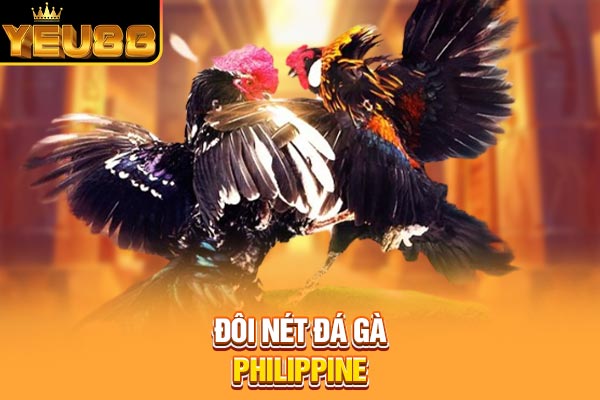 Đôi nét đá gà Philippines Đôi nét đá gà Philippines