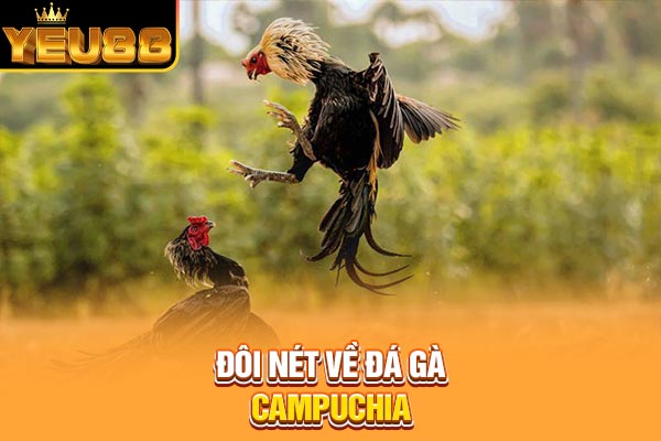 Đôi nét về đá gà Campuchia Đôi nét về đá gà Campuchia