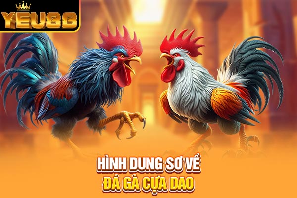 Hình dung sơ về đá gà cựa dao Hình dung sơ về đá gà cựa dao