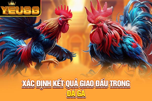 Xác định kết quả giao đấu trong đá gà Xác định kết quả giao đấu trong đá gà